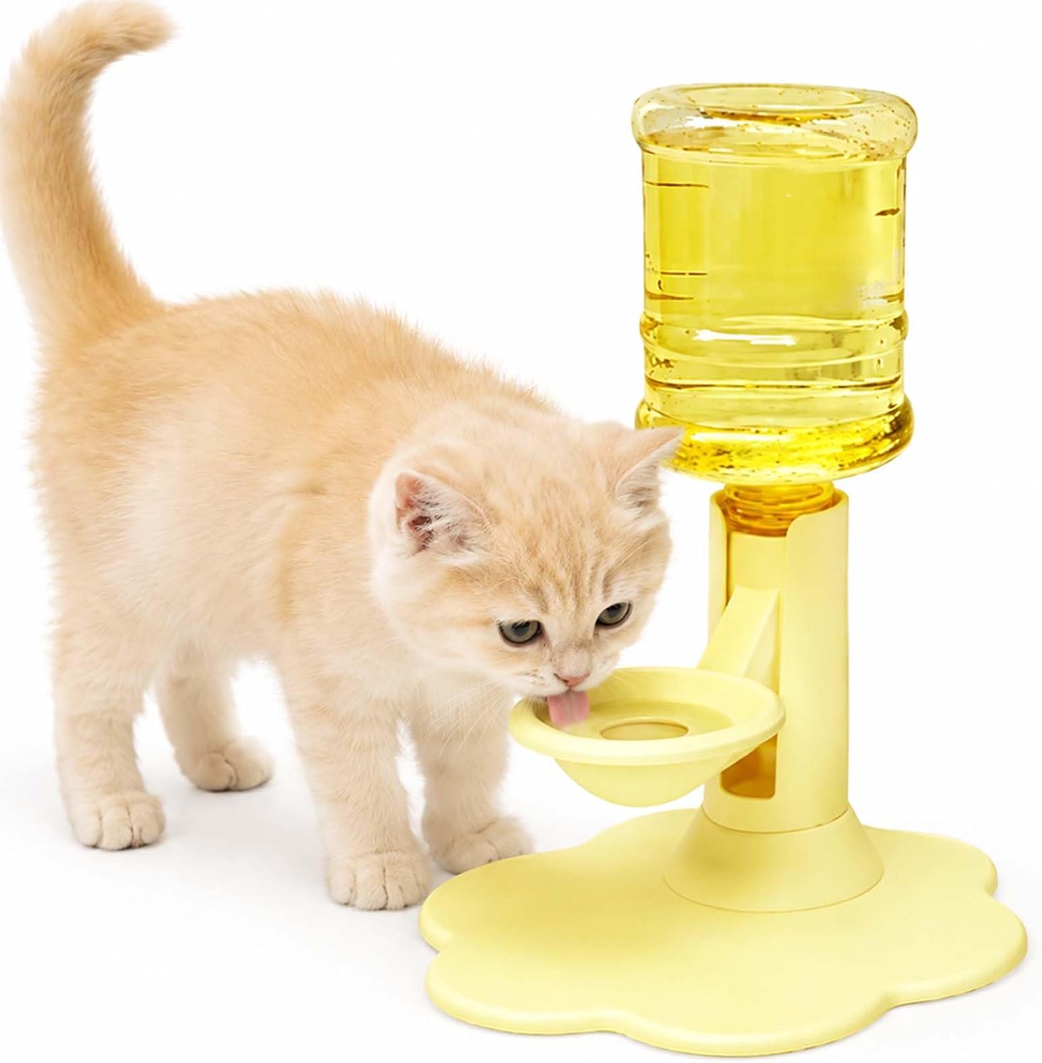 Water Dispenser for Cats Gravity Raised Cat Waterer with Clear Bottle