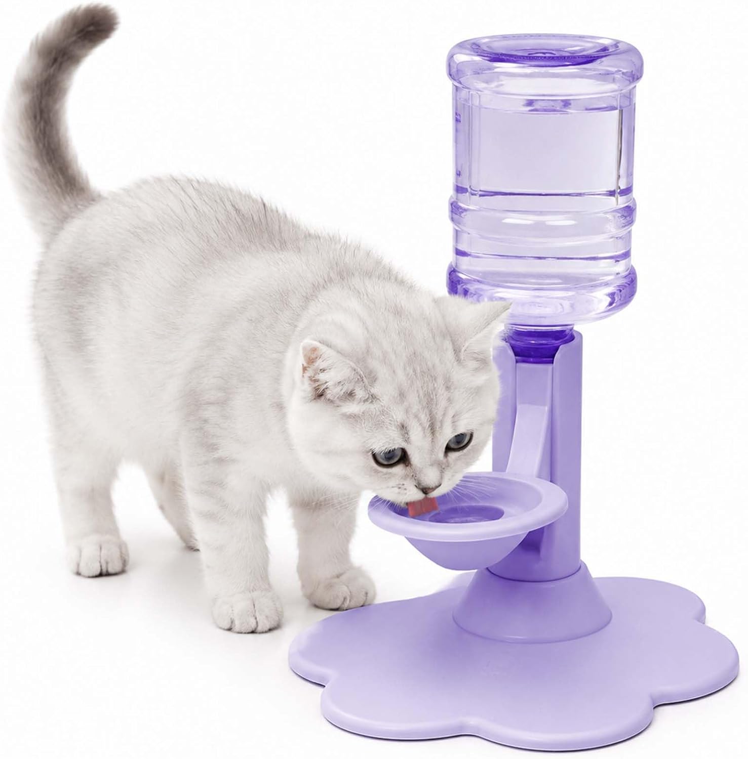 Water Dispenser for Cats Gravity Raised Cat Waterer with Clear Bottle